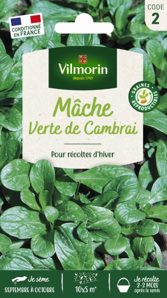 Potagères - Mâche Verte de Cambrai - PACKAGING_RECTO